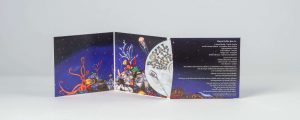 cd duplication services, Why Custom CD Packaging is Best for Bulk CDs